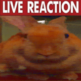 stretched image of rabbit colored red to show anger, with live reaction text on top